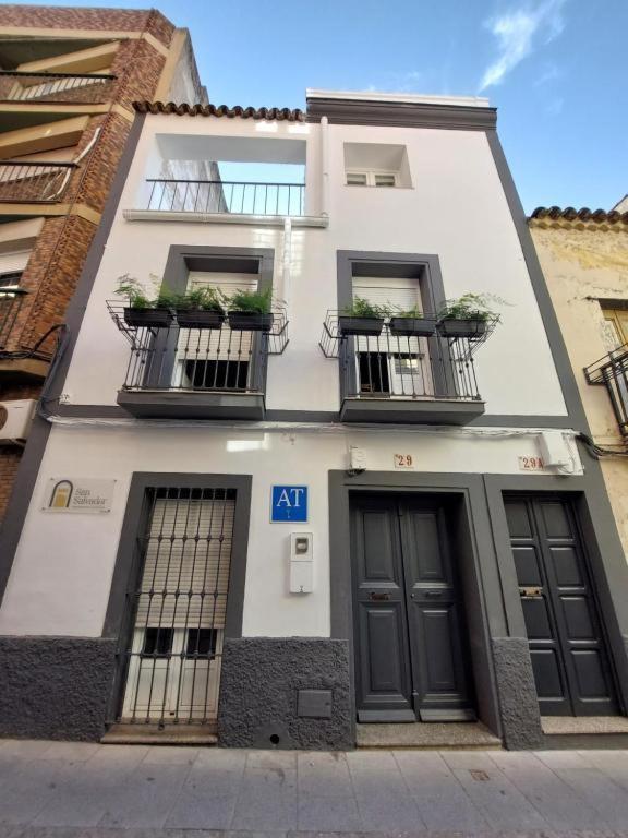 Apartamentos San Salvador Parking Gratis Mérida Esterno foto